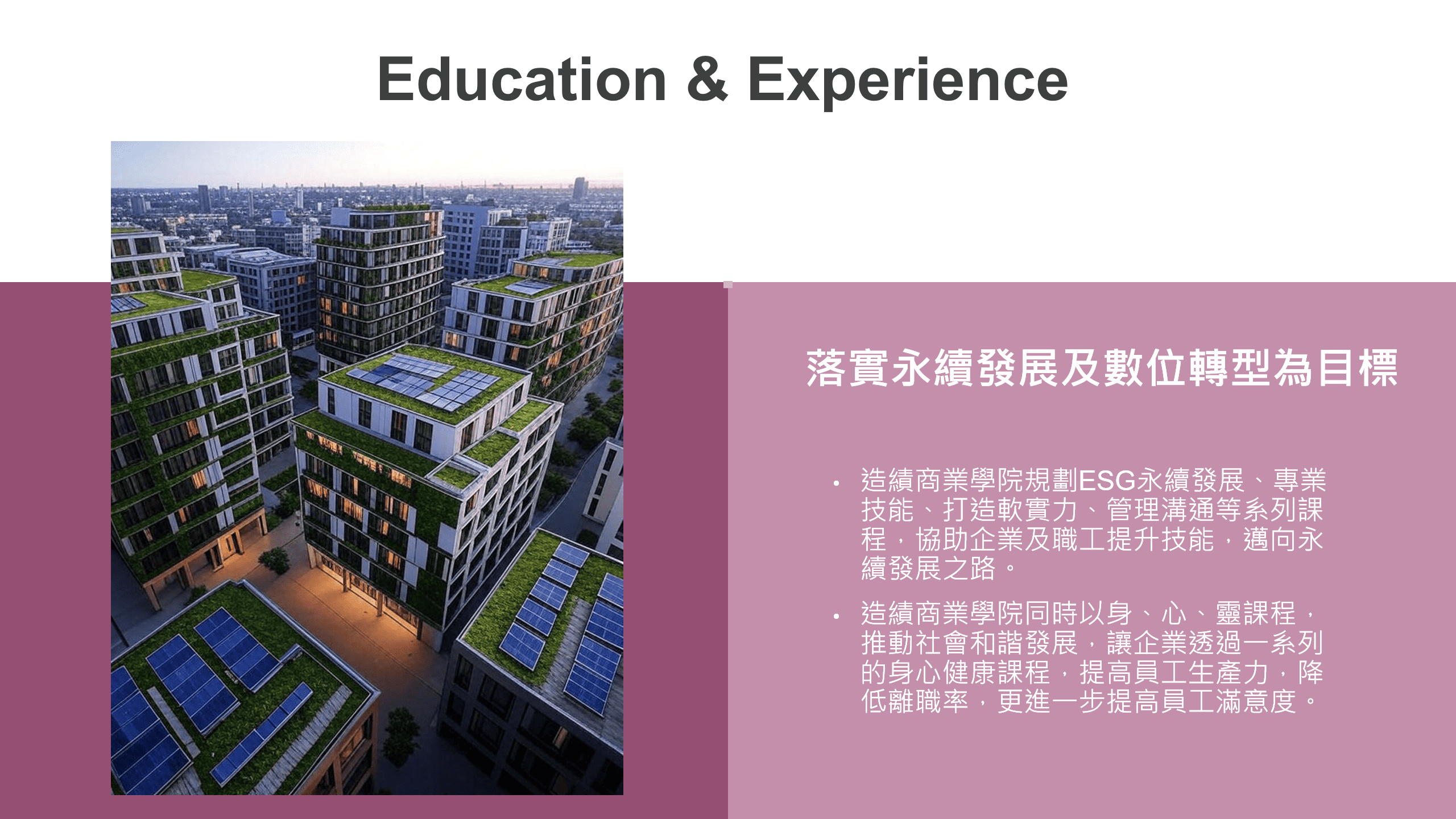 螢幕擷取畫面 2025-06-03 175342
